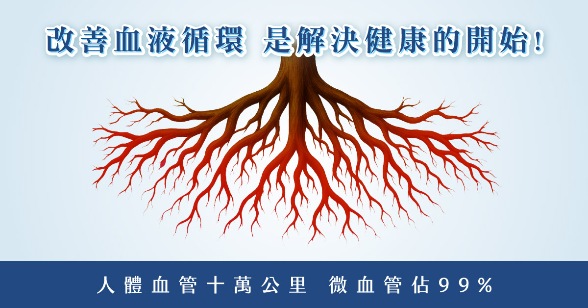 EECP 體外反搏
