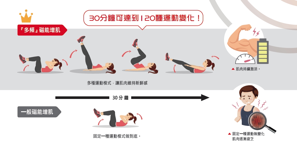 星肌動減脂(星肌動椅) 星肌動減脂(星肌動椅)