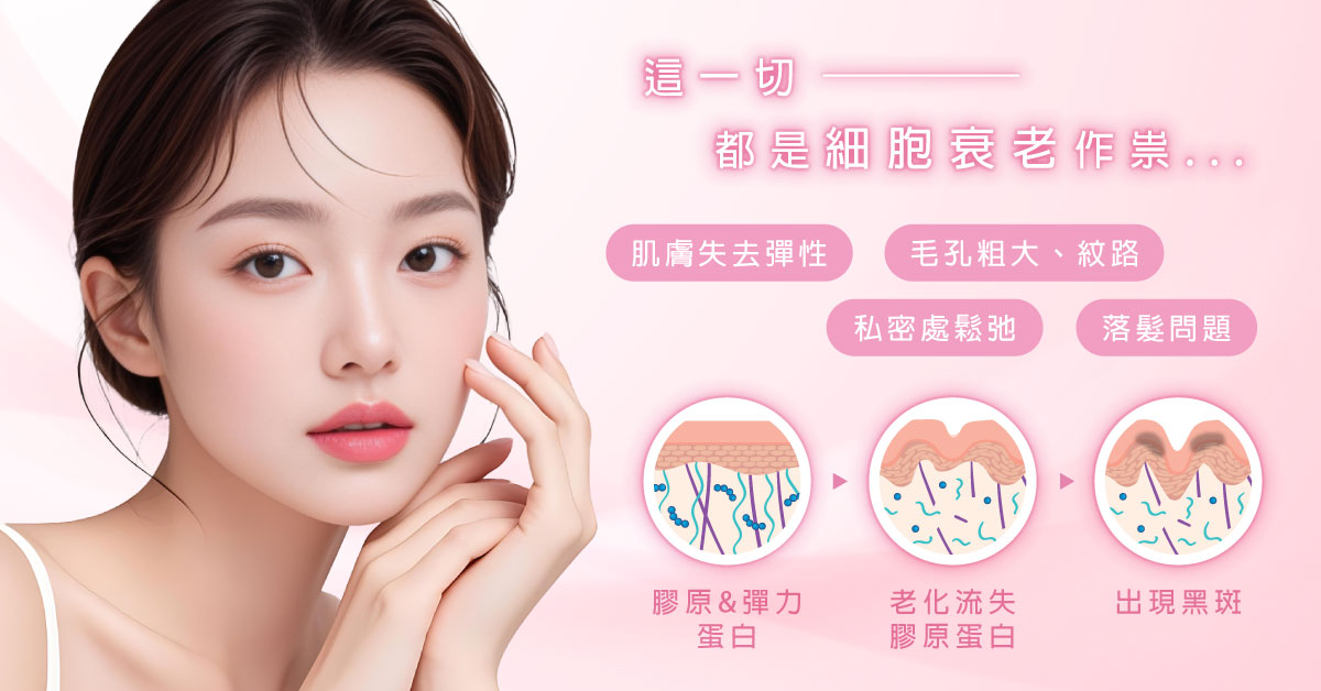 PLT 2.0 高濃縮凍晶